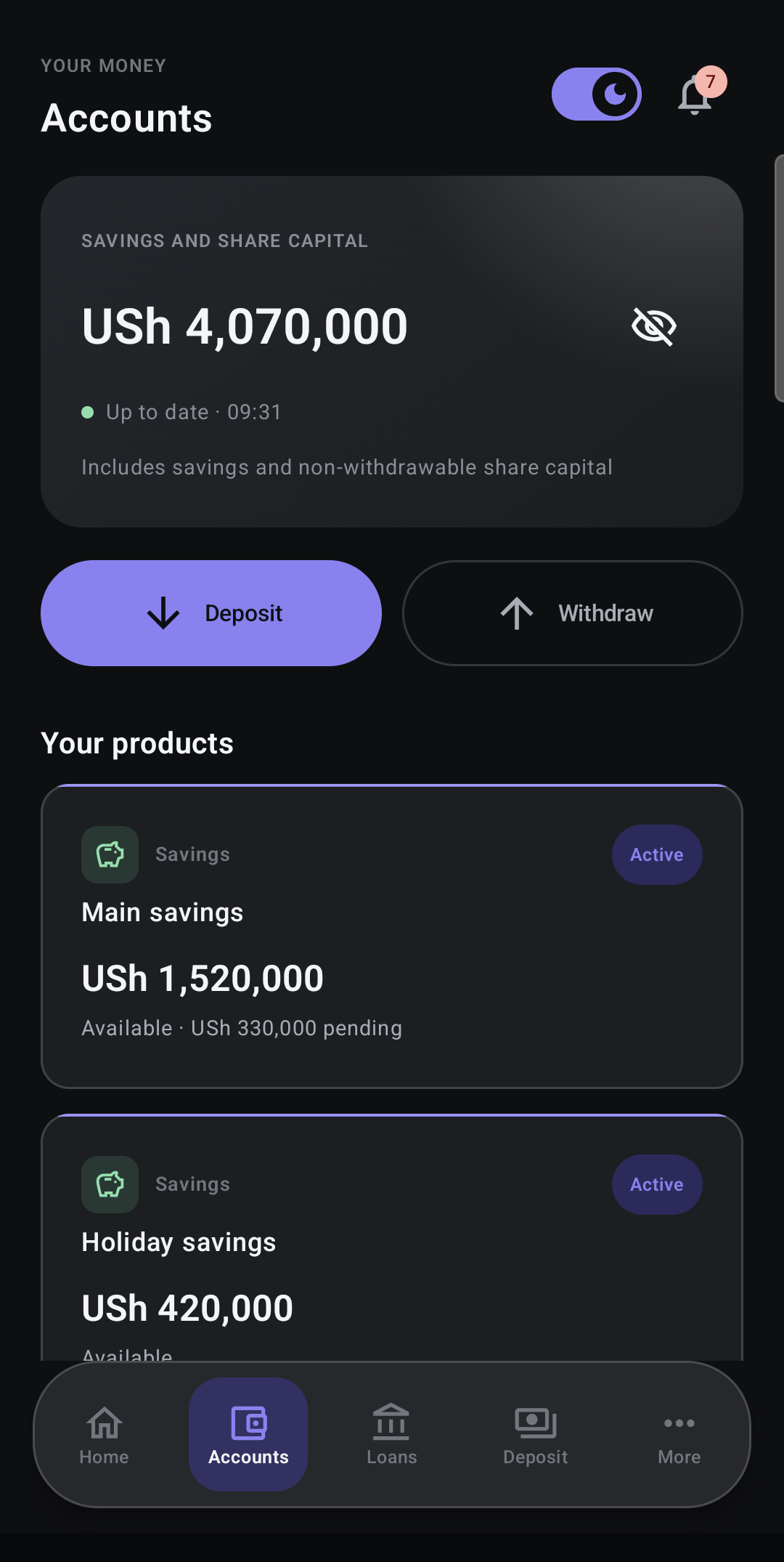 Member App demo accounts showing savings and share balances.