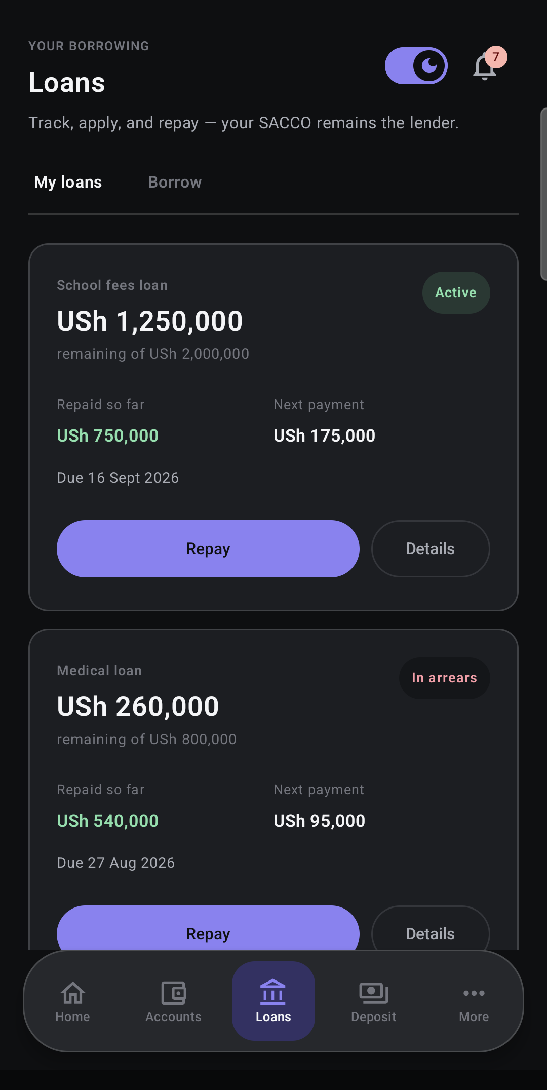 Member App demo loans with outstanding balances, repayment progress and next payment dates.